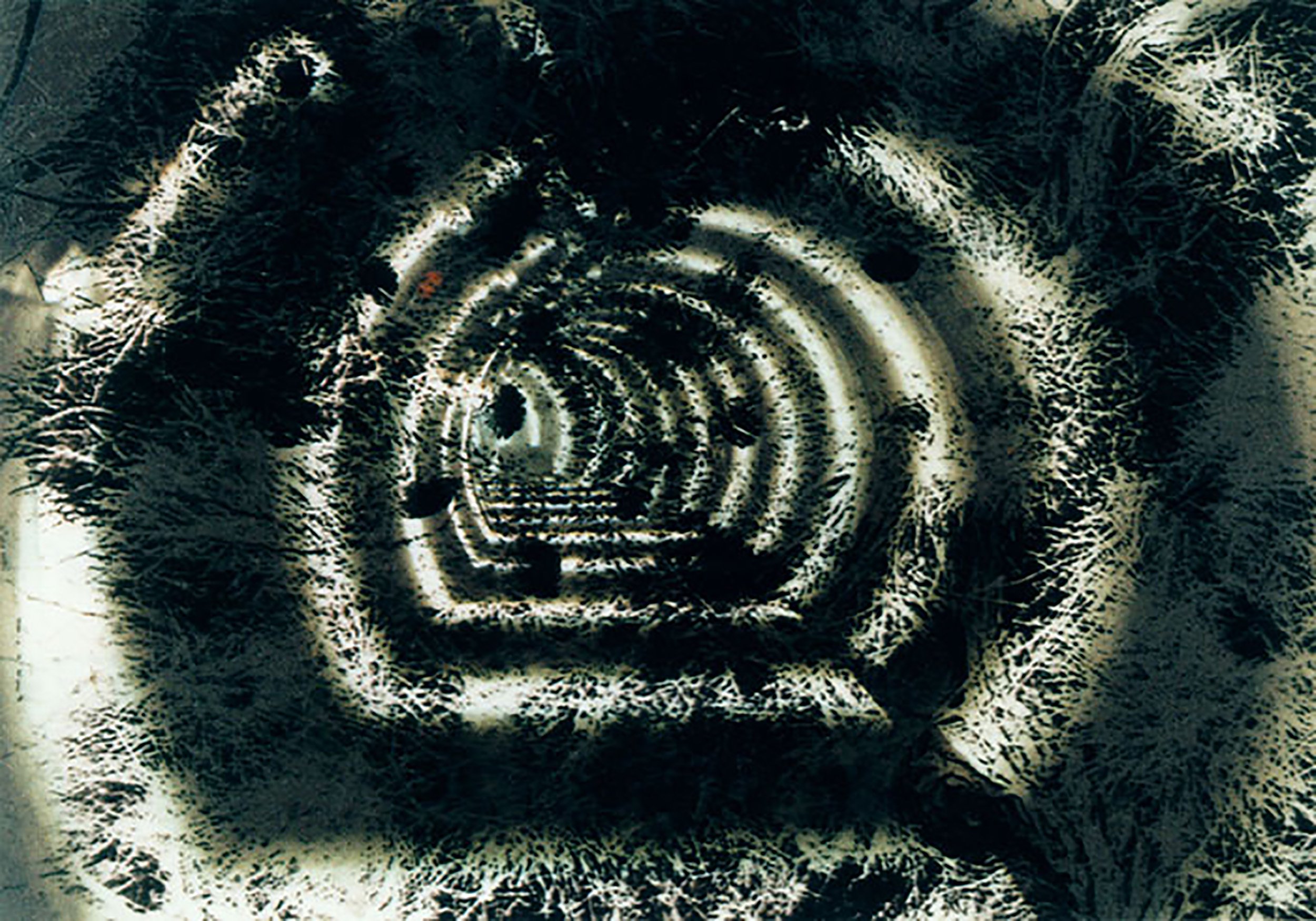 Sans Titre, 1992 — Tirage photographique collé sur Forex, 102 x 122 cm